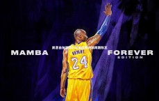 爱游戏官网|凯恩自加盟拜仁以来欧冠进球同期称王